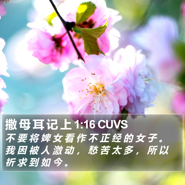 撒 母 耳 记 上 1:16 CUVS Bible Study