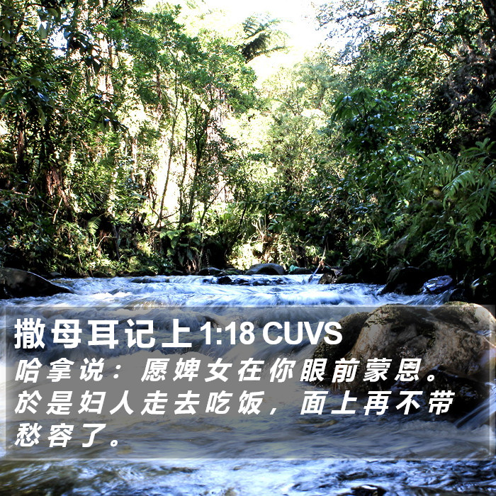 撒 母 耳 记 上 1:18 CUVS Bible Study