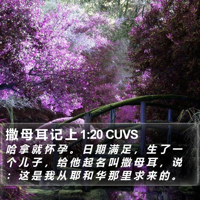 撒 母 耳 记 上 1:20 CUVS Bible Study