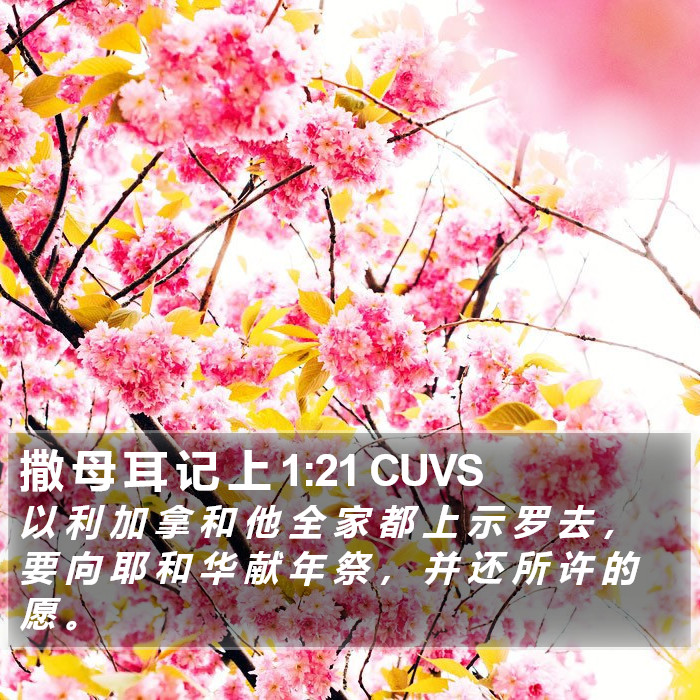 撒 母 耳 记 上 1:21 CUVS Bible Study