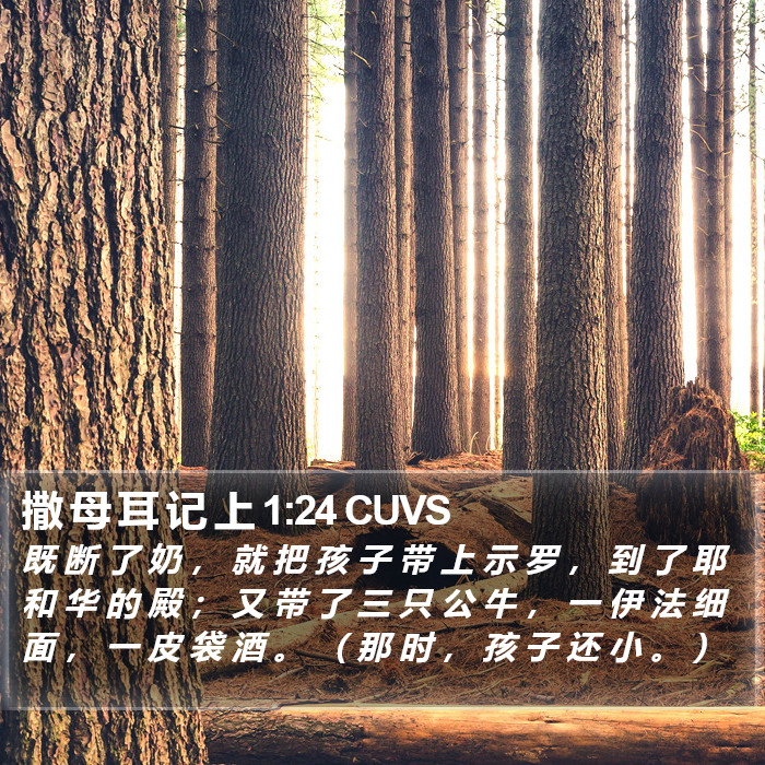 撒 母 耳 记 上 1:24 CUVS Bible Study