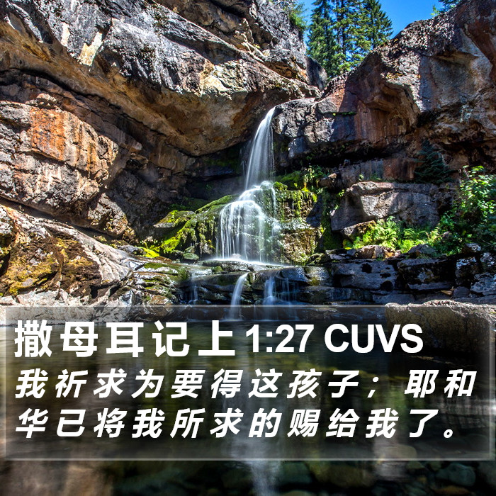 撒 母 耳 记 上 1:27 CUVS Bible Study