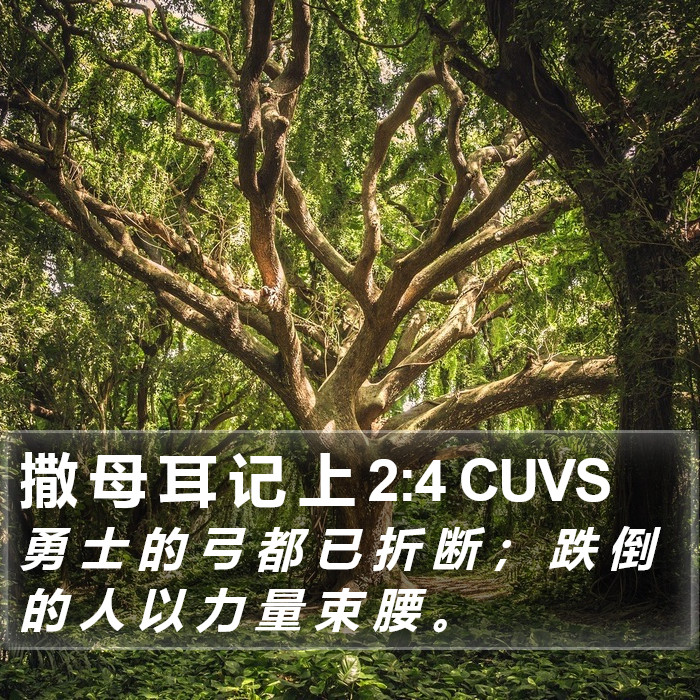 撒 母 耳 记 上 2:4 CUVS Bible Study