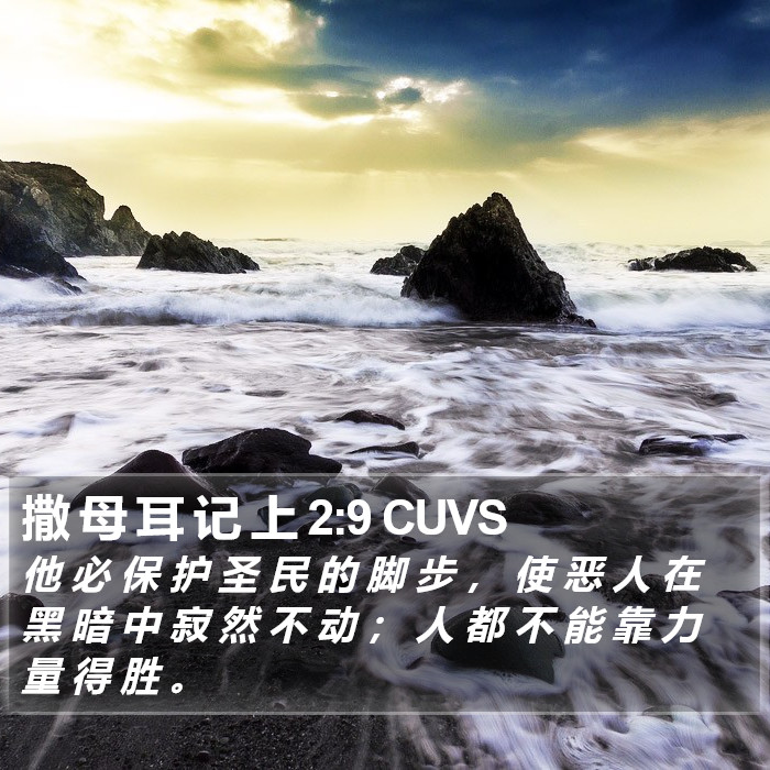 撒 母 耳 记 上 2:9 CUVS Bible Study