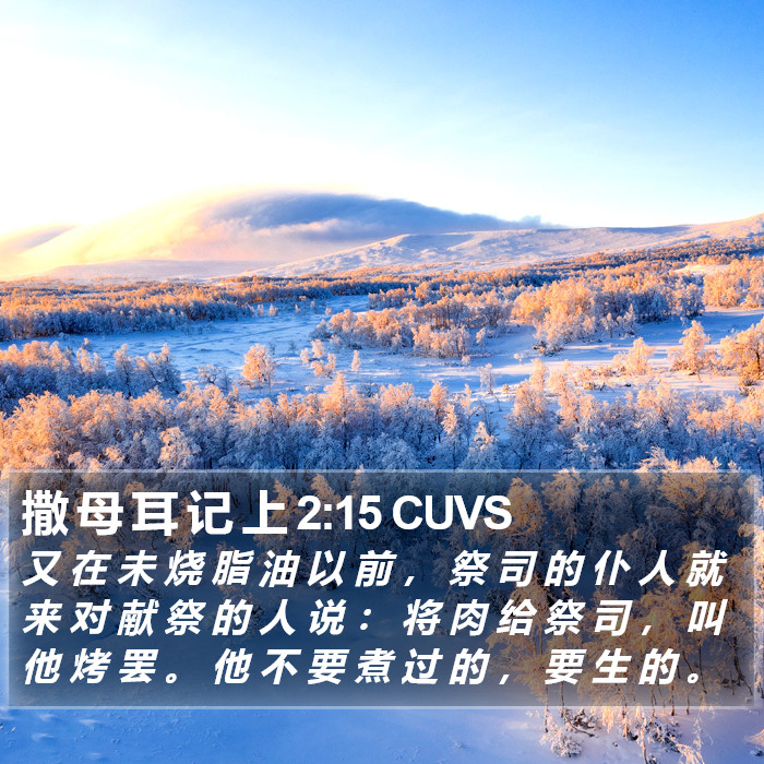 撒 母 耳 记 上 2:15 CUVS Bible Study