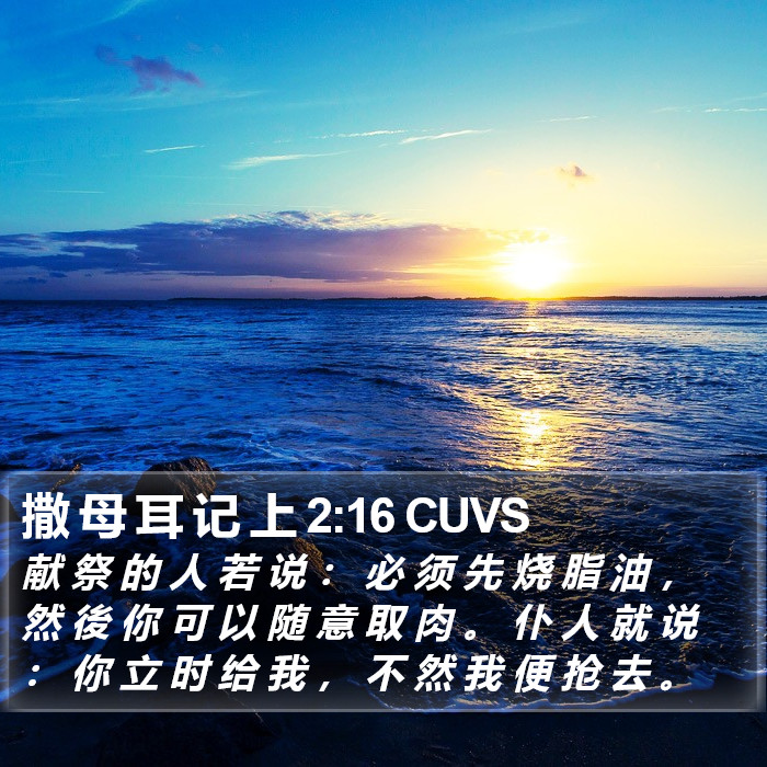 撒 母 耳 记 上 2:16 CUVS Bible Study
