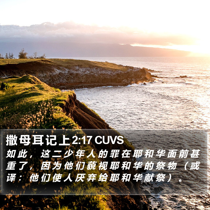 撒 母 耳 记 上 2:17 CUVS Bible Study