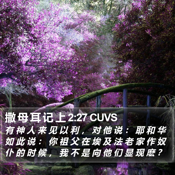 撒 母 耳 记 上 2:27 CUVS Bible Study