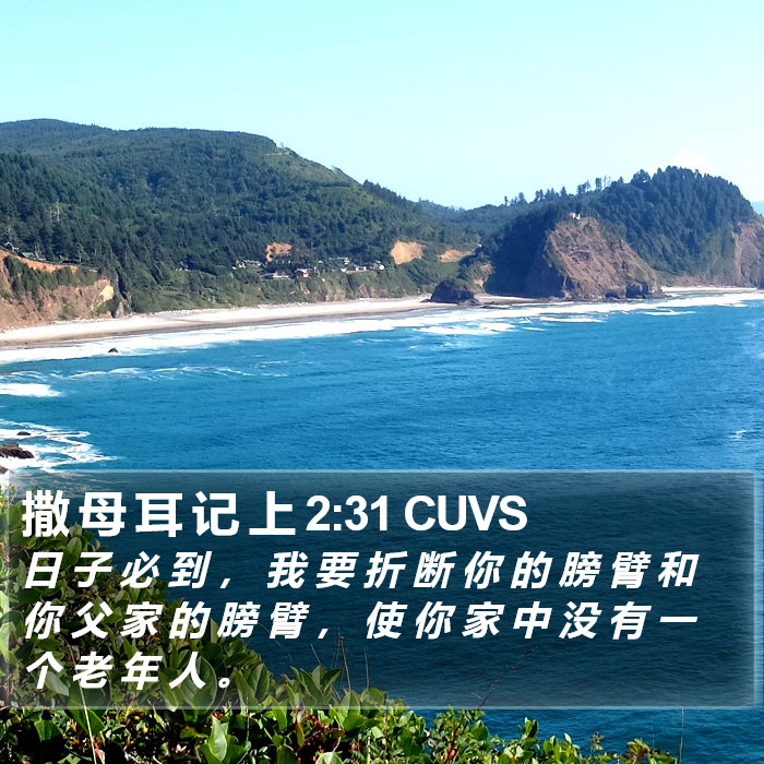 撒 母 耳 记 上 2:31 CUVS Bible Study