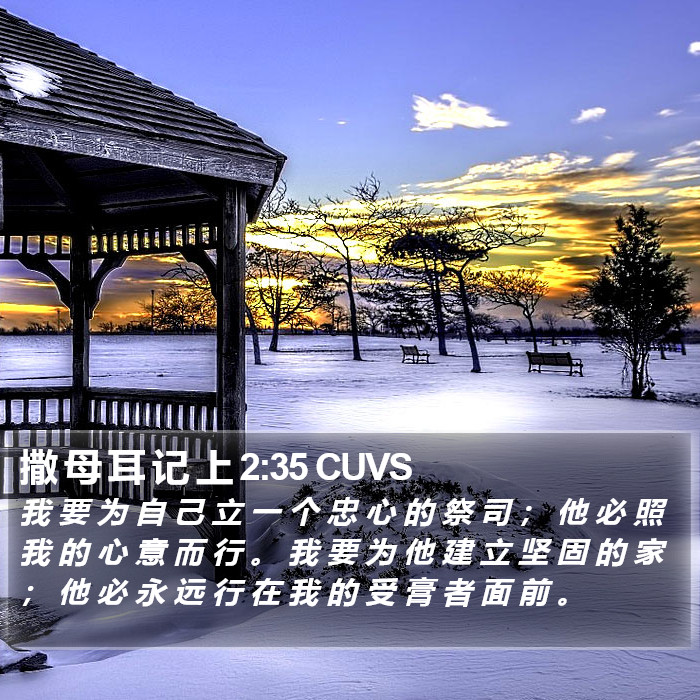 撒 母 耳 记 上 2:35 CUVS Bible Study