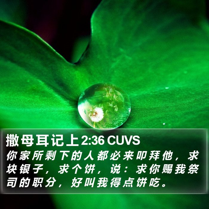 撒 母 耳 记 上 2:36 CUVS Bible Study