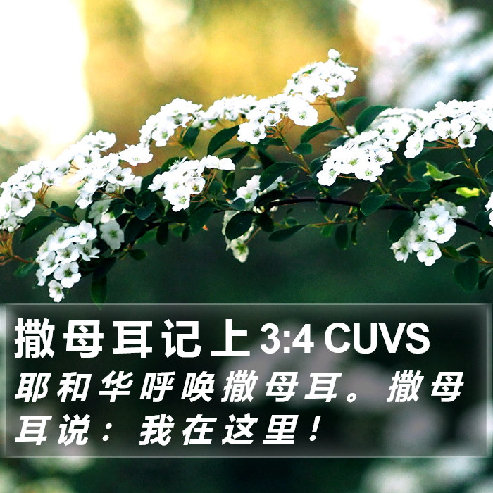 撒 母 耳 记 上 3:4 CUVS Bible Study