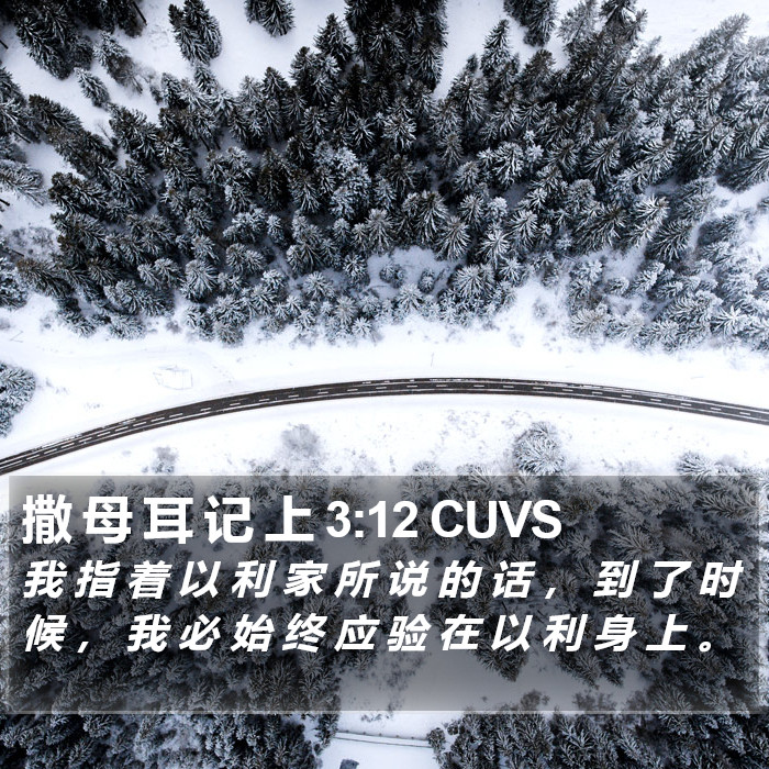 撒 母 耳 记 上 3:12 CUVS Bible Study