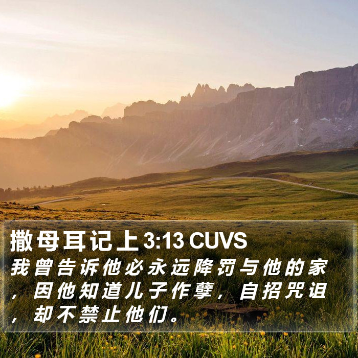 撒 母 耳 记 上 3:13 CUVS Bible Study