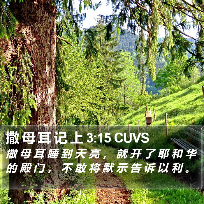 撒 母 耳 记 上 3:15 CUVS Bible Study