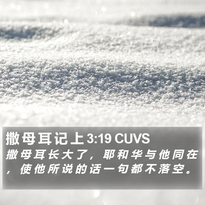 撒 母 耳 记 上 3:19 CUVS Bible Study