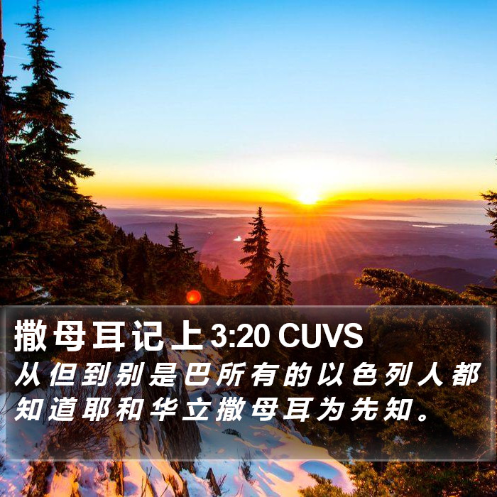 撒 母 耳 记 上 3:20 CUVS Bible Study