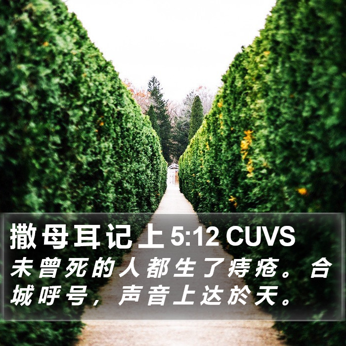 撒 母 耳 记 上 5:12 CUVS Bible Study