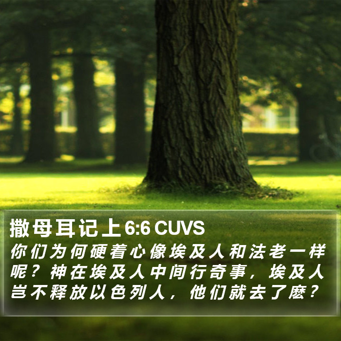 撒 母 耳 记 上 6:6 CUVS Bible Study