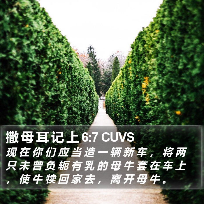 撒 母 耳 记 上 6:7 CUVS Bible Study