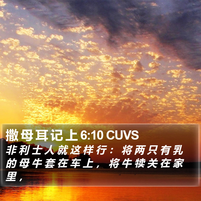 撒 母 耳 记 上 6:10 CUVS Bible Study