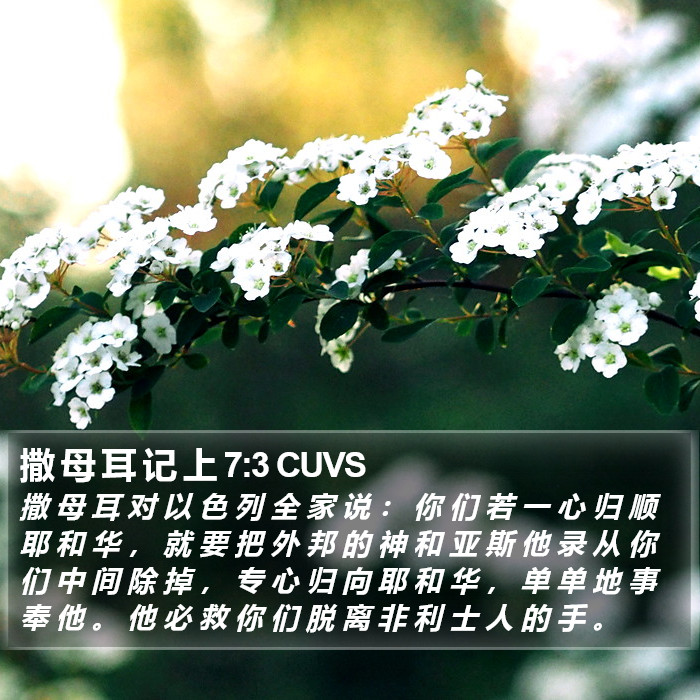 撒 母 耳 记 上 7:3 CUVS Bible Study