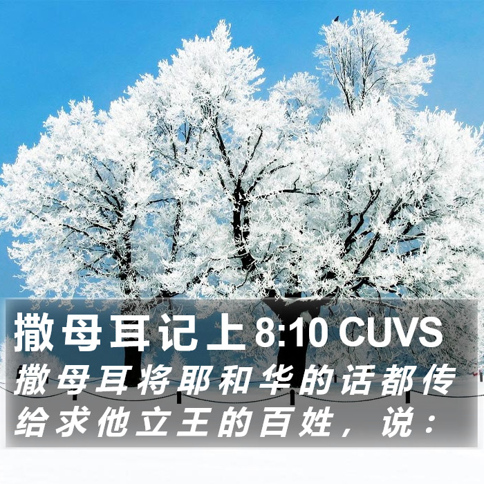 撒 母 耳 记 上 8:10 CUVS Bible Study