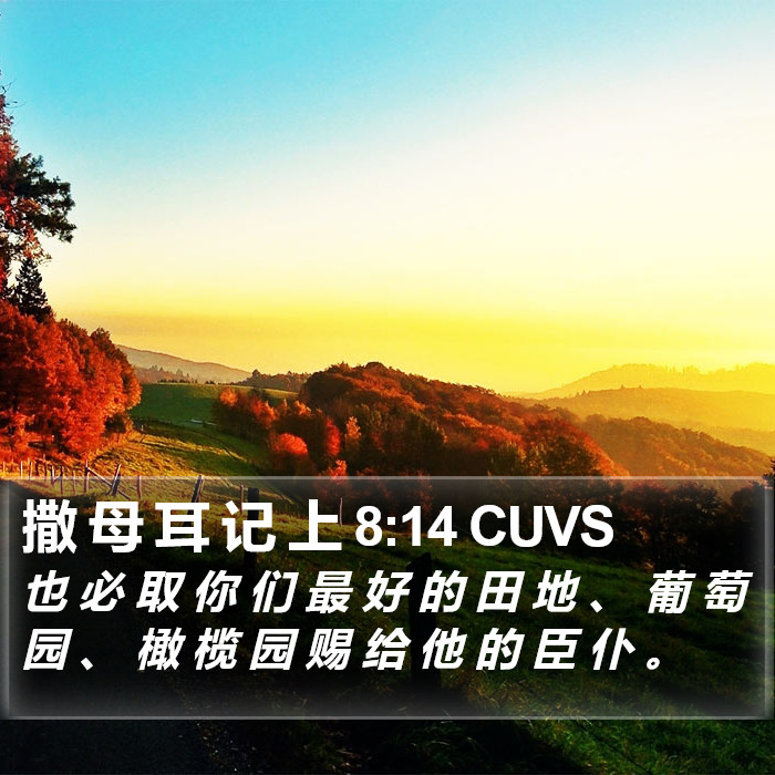 撒 母 耳 记 上 8:14 CUVS Bible Study