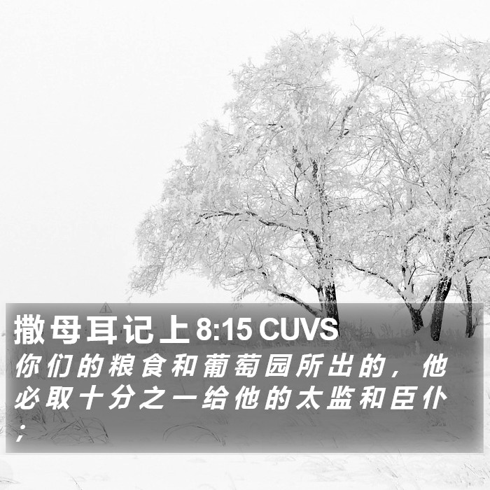 撒 母 耳 记 上 8:15 CUVS Bible Study