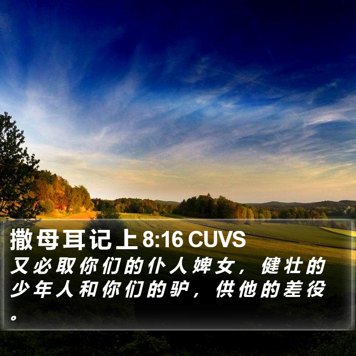 撒 母 耳 记 上 8:16 CUVS Bible Study