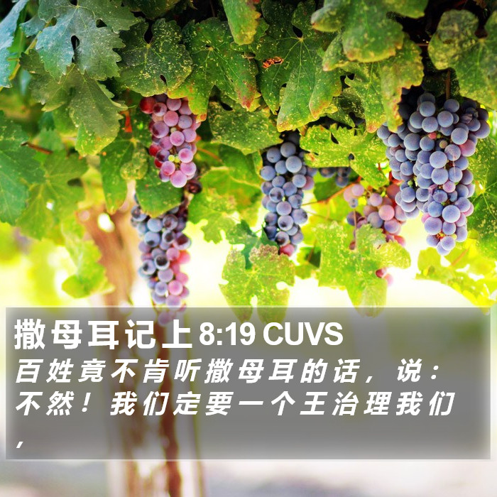 撒 母 耳 记 上 8:19 CUVS Bible Study