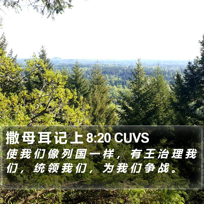 撒 母 耳 记 上 8:20 CUVS Bible Study