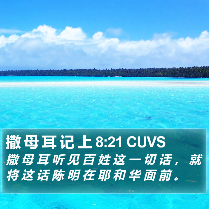 撒 母 耳 记 上 8:21 CUVS Bible Study