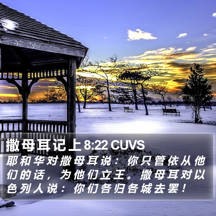 撒 母 耳 记 上 8:22 CUVS Bible Study
