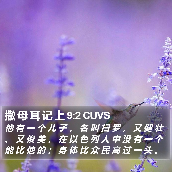 撒 母 耳 记 上 9:2 CUVS Bible Study