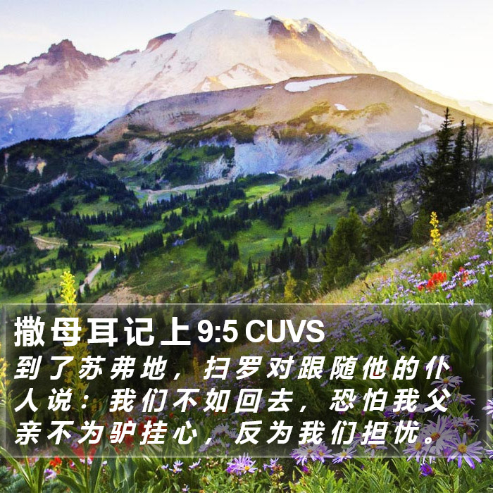 撒 母 耳 记 上 9:5 CUVS Bible Study