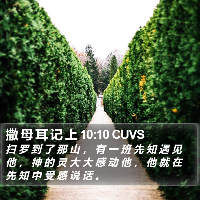 撒 母 耳 记 上 10:10 CUVS Bible Study