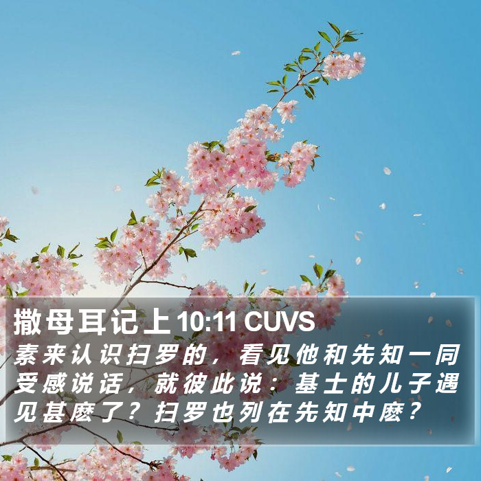 撒 母 耳 记 上 10:11 CUVS Bible Study