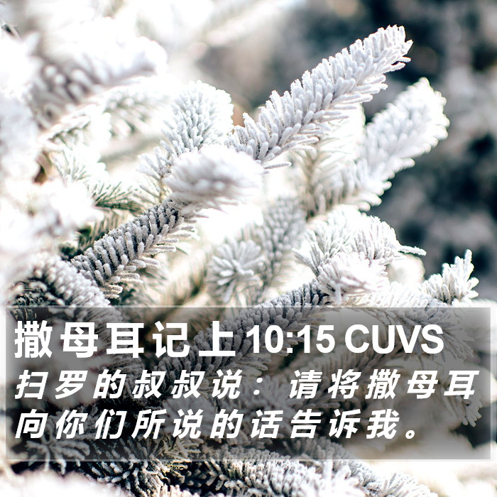 撒 母 耳 记 上 10:15 CUVS Bible Study