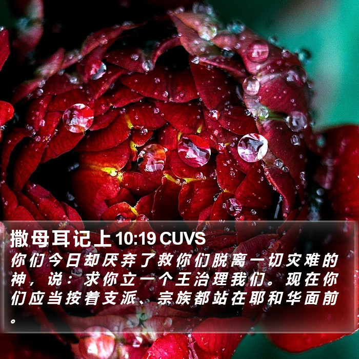 撒 母 耳 记 上 10:19 CUVS Bible Study