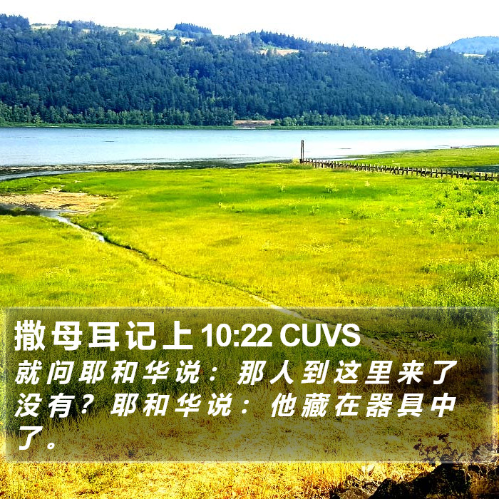 撒 母 耳 记 上 10:22 CUVS Bible Study