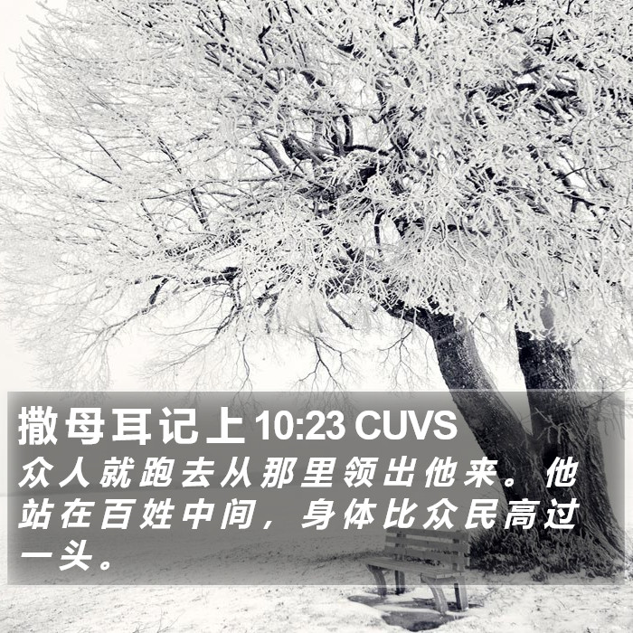 撒 母 耳 记 上 10:23 CUVS Bible Study