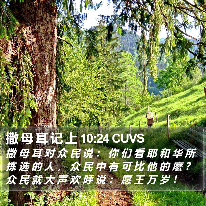 撒 母 耳 记 上 10:24 CUVS Bible Study