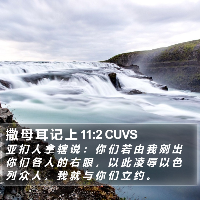 撒 母 耳 记 上 11:2 CUVS Bible Study