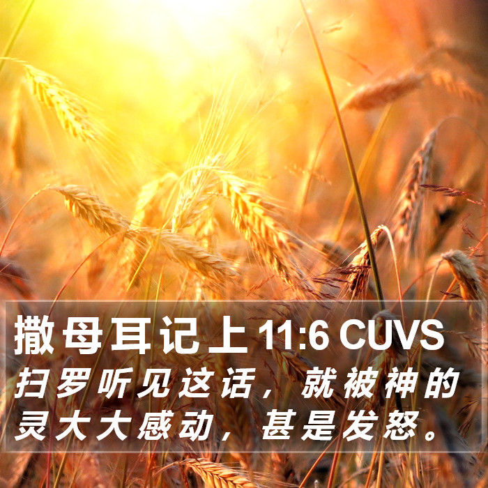 撒 母 耳 记 上 11:6 CUVS Bible Study
