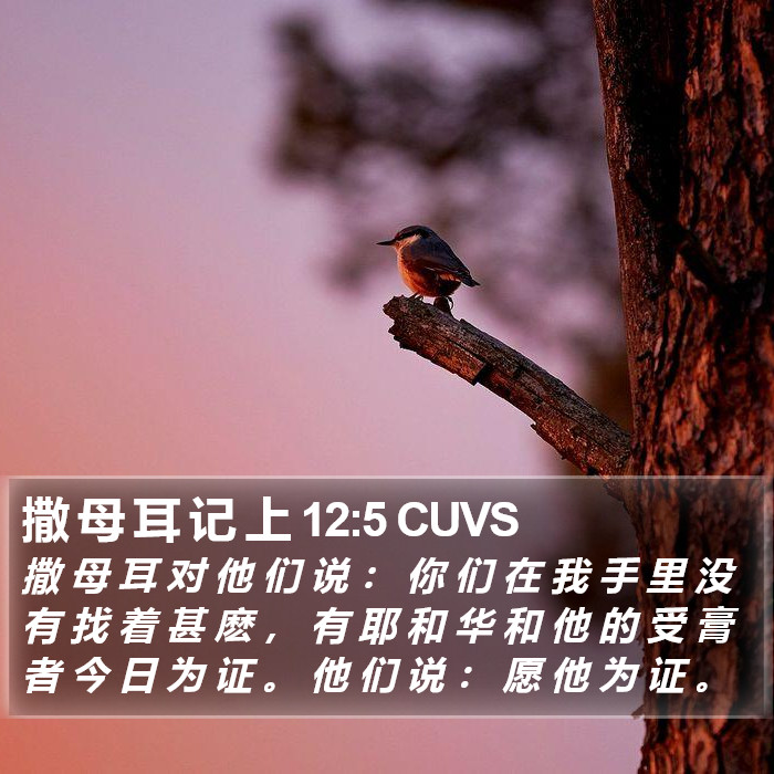 撒 母 耳 记 上 12:5 CUVS Bible Study