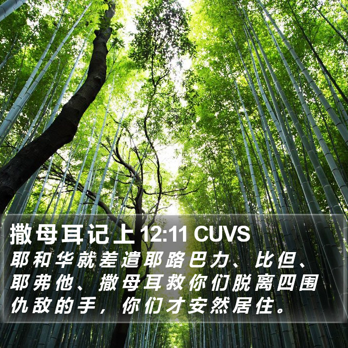 撒 母 耳 记 上 12:11 CUVS Bible Study