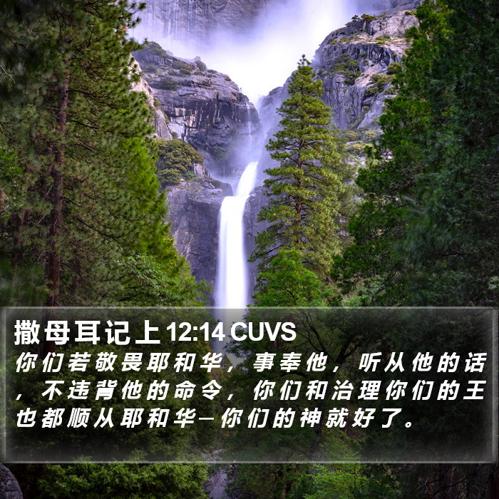 撒 母 耳 记 上 12:14 CUVS Bible Study