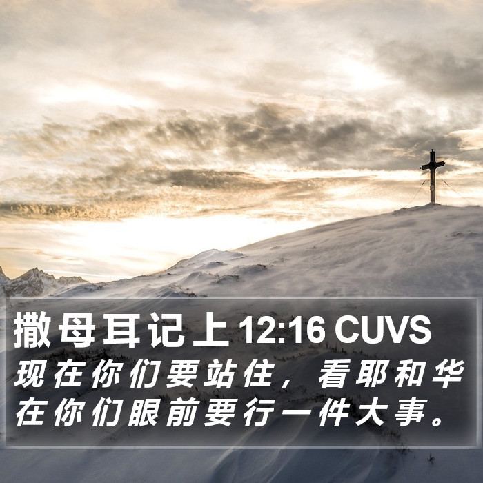 撒 母 耳 记 上 12:16 CUVS Bible Study
