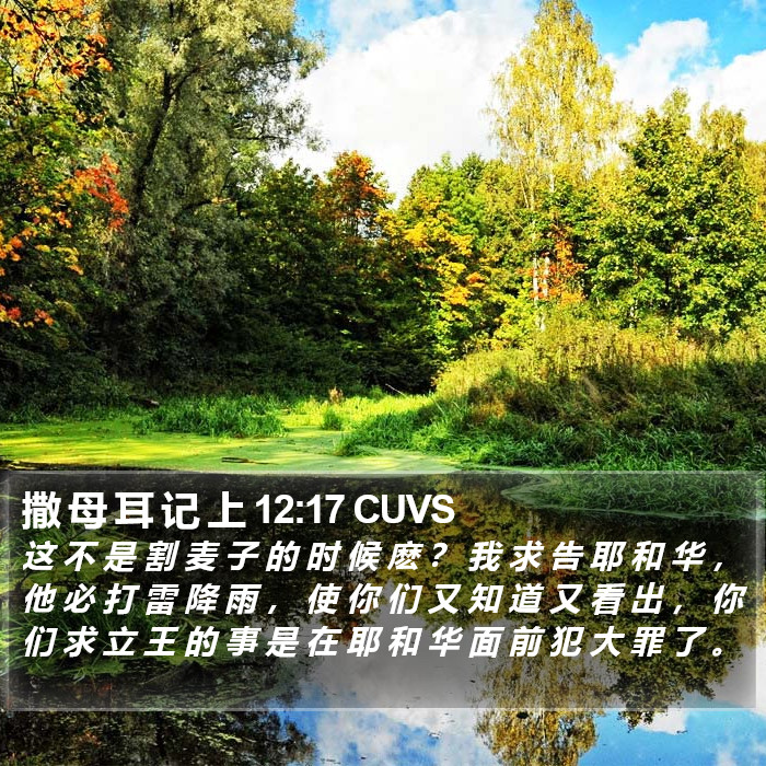 撒 母 耳 记 上 12:17 CUVS Bible Study